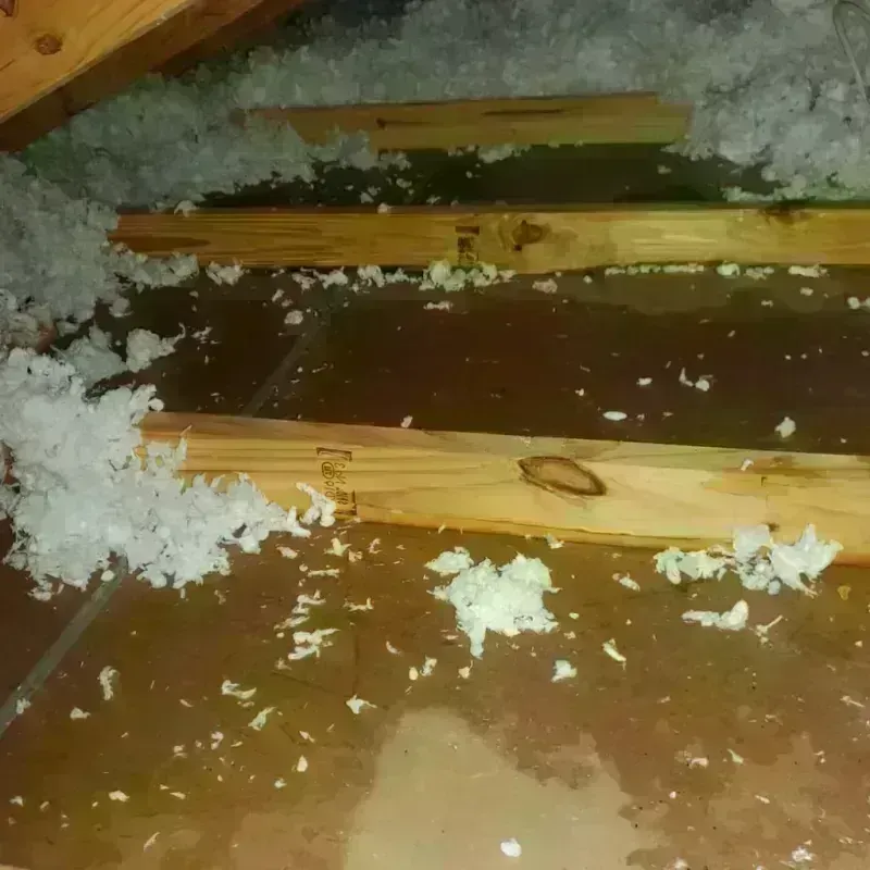 Attic Water Damage in West View, PA